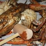Crabs with Mallot