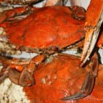 Yummy Blue Crabs