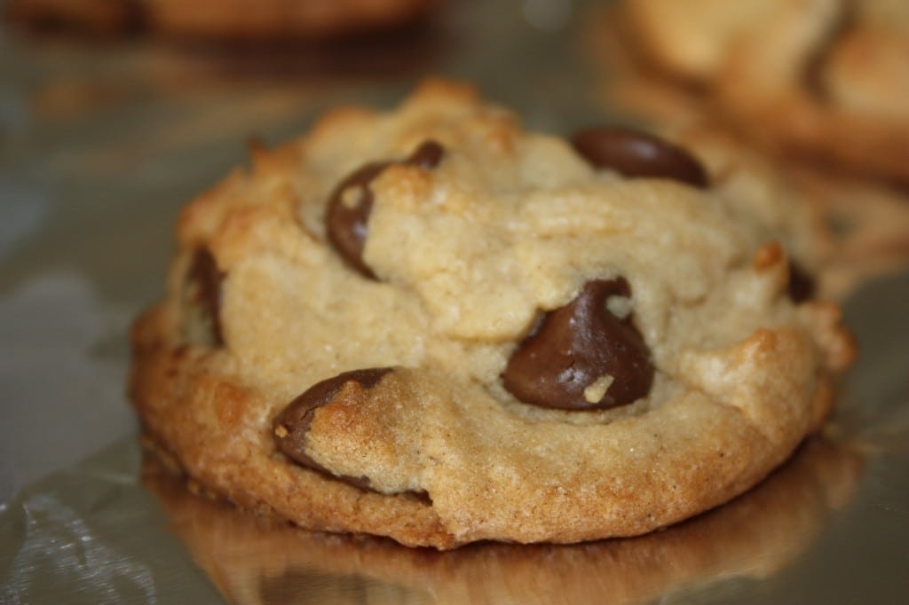 Viv's Chocolate Chip Delight Cookie