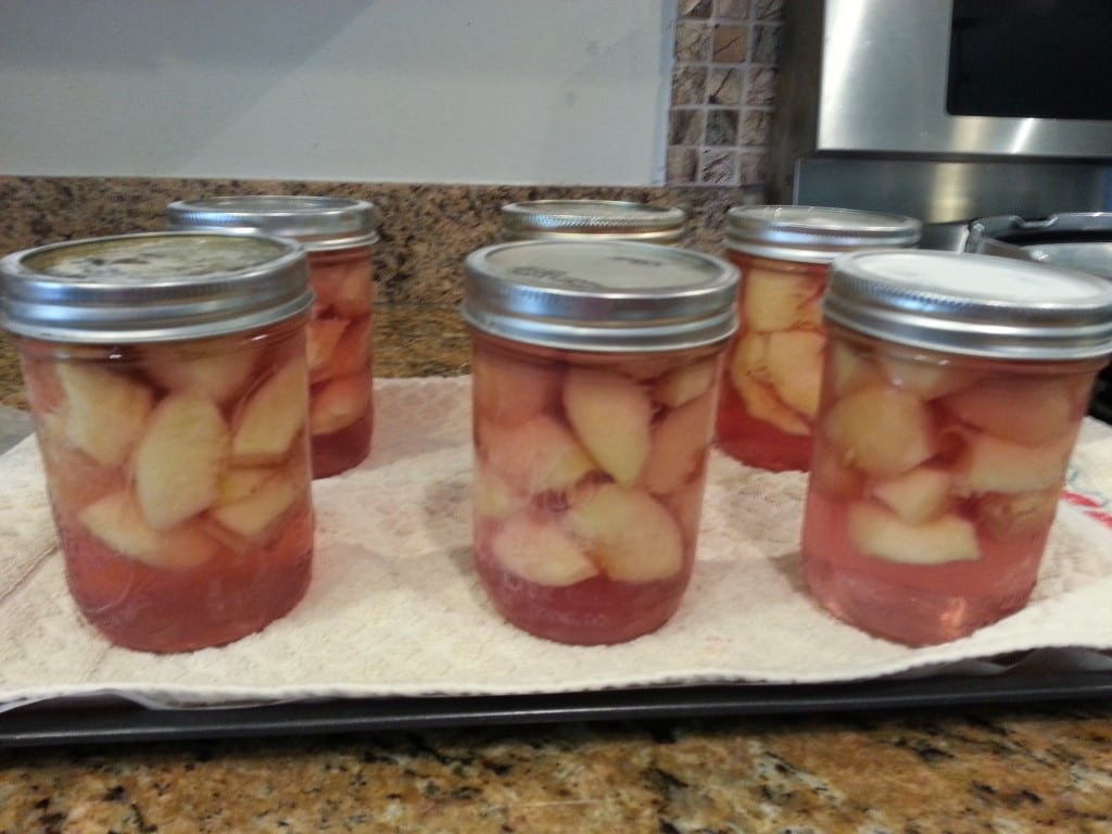 Home Canned Peaches with Judy and Brian