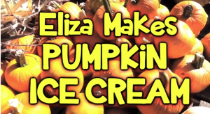 Eliza Makes Pumpkin Ice Cream