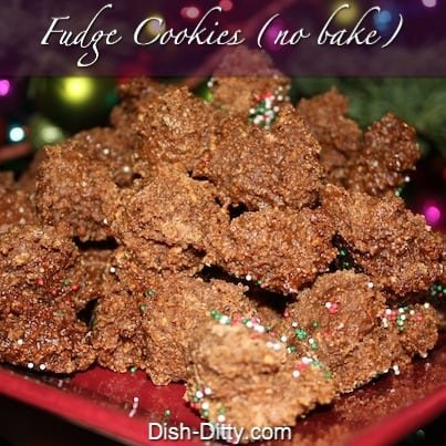 Fudge Cookies (no bake)