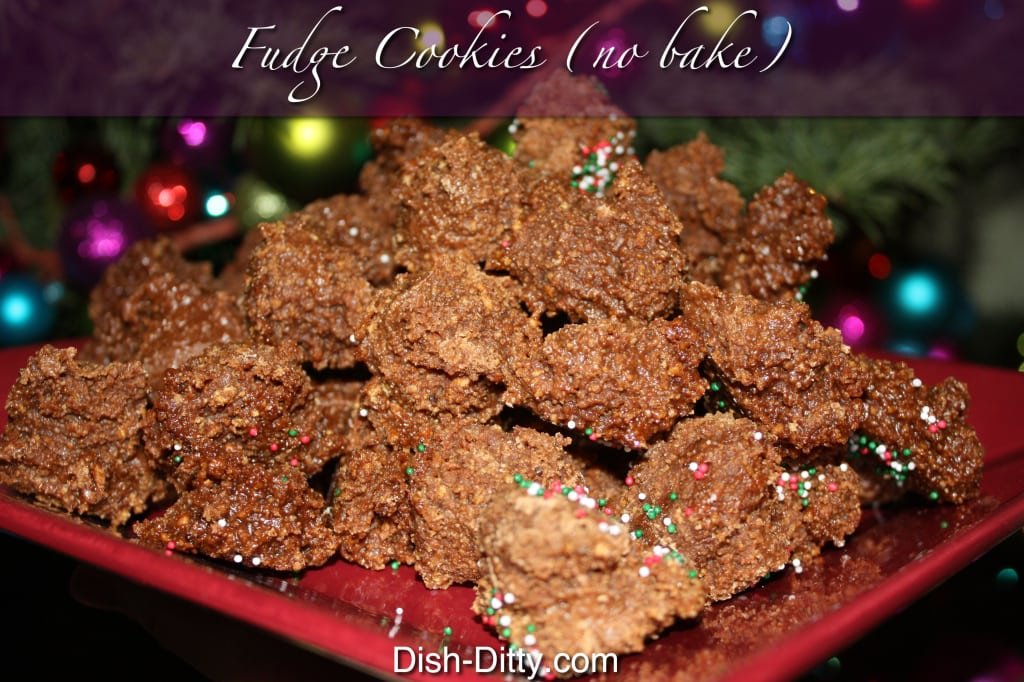 Fudge Cookies (No Bake) Recipe