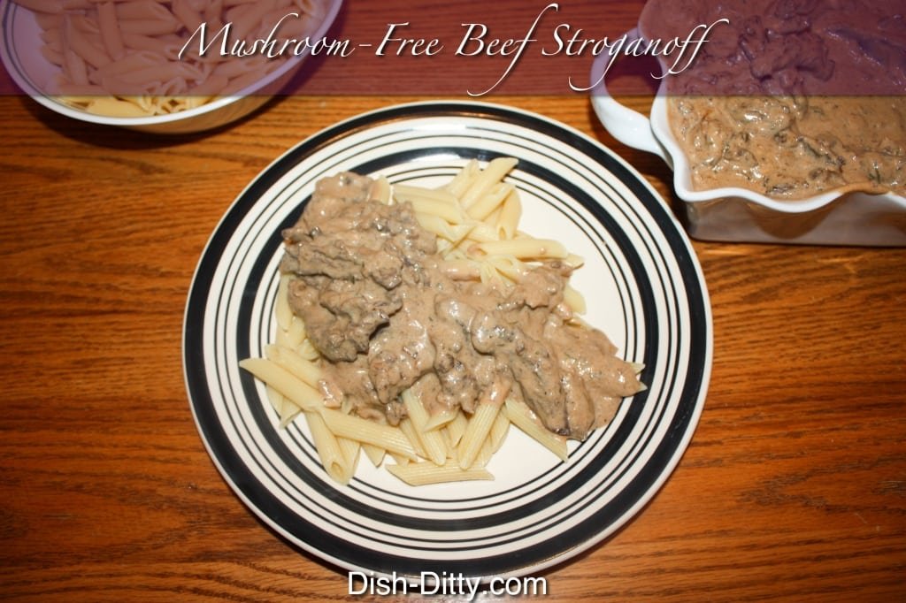 Mushroom Free Beef Stroganoff