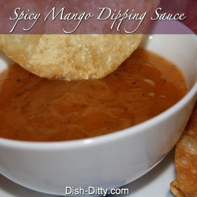 Spicy Mango Wonton Dip