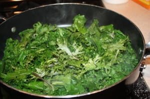 Coat Kale