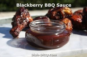 Blackberry BBQ Sauce by Dish Ditty