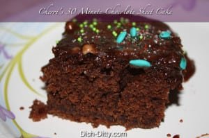 Cherri's 30 Minute Chocolate Sheet Cake by Dish Ditty