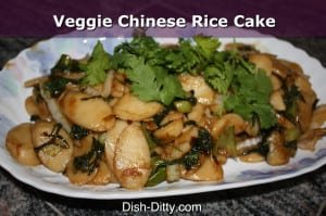 Vegetable Chinese Rice Cake Noodles by Dish Ditty