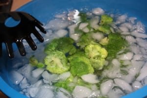 Place in ice bath
