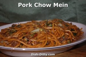 Pork Chow Mein by Dish Ditty Recipes