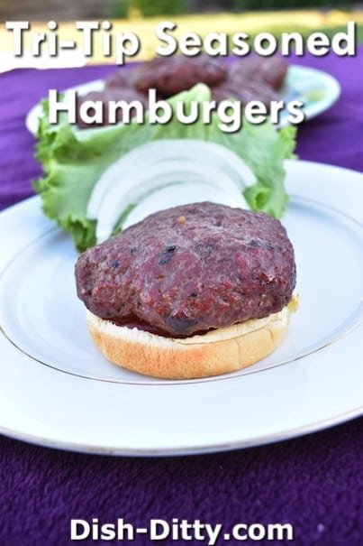 Tri-Tip Seasoned Hamburgers Recipe by Dish Ditty Recipes
