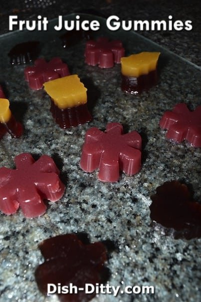 Fruit Juice Gummies Recipe by Dish Ditty Recipes