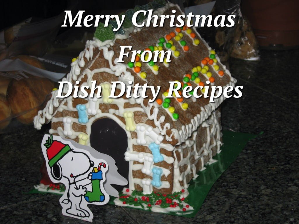 Merry Christmas from Dish Ditty Recipes
