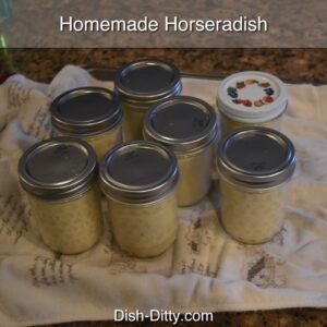 Homemade Horseradish by Dish Ditty Recipes